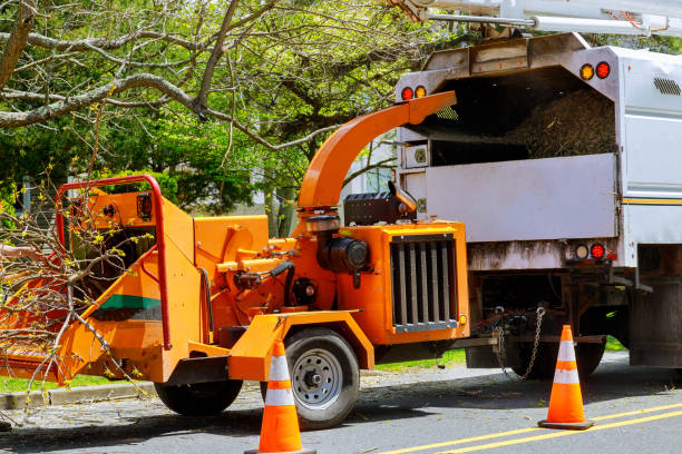 Best Arborist Consultation Services  in Bruceton, TN